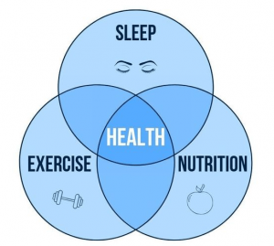 health sleep nutrition exercise